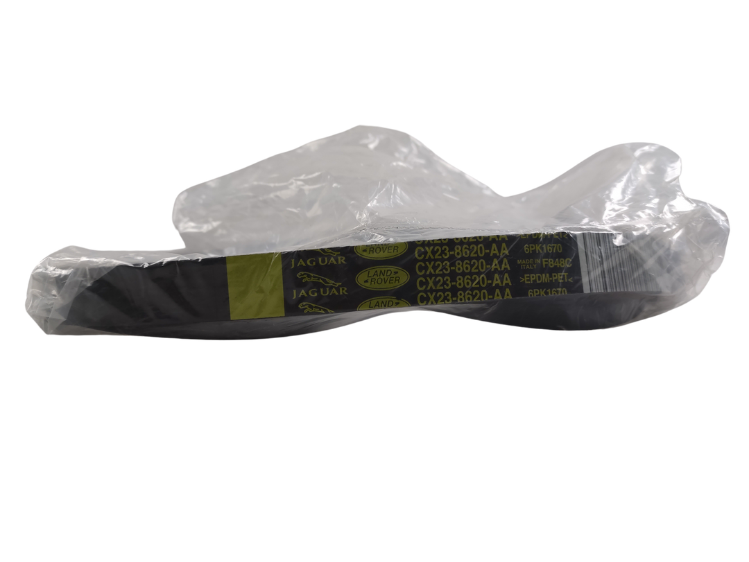 JAGUAR Cinghia di trasmissione motore OEM C2Z13672
