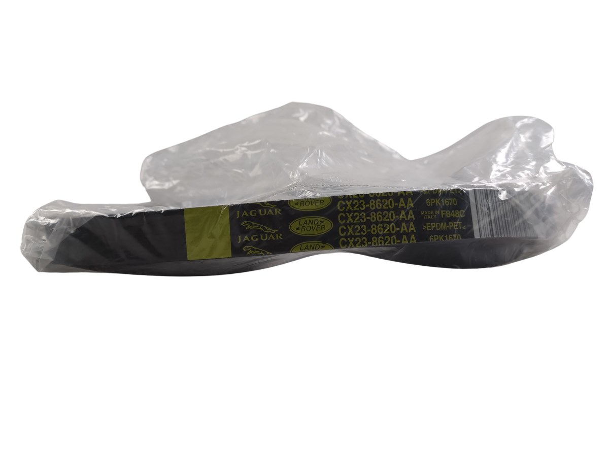 Jaguar cinghia di trasmissione motore oem c2z13672