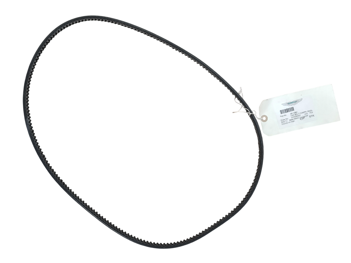 Aston martin cinghia servizi singola oem 89 13364