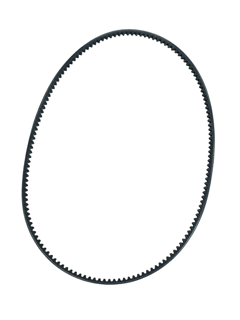 ASTON MARTIN Cinghia pompa acqua/Pas OEM 05-14647