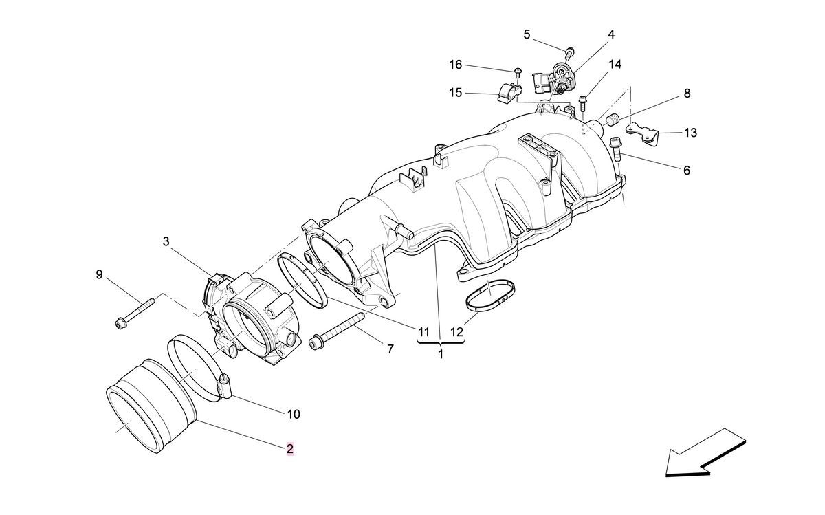  oem 304167