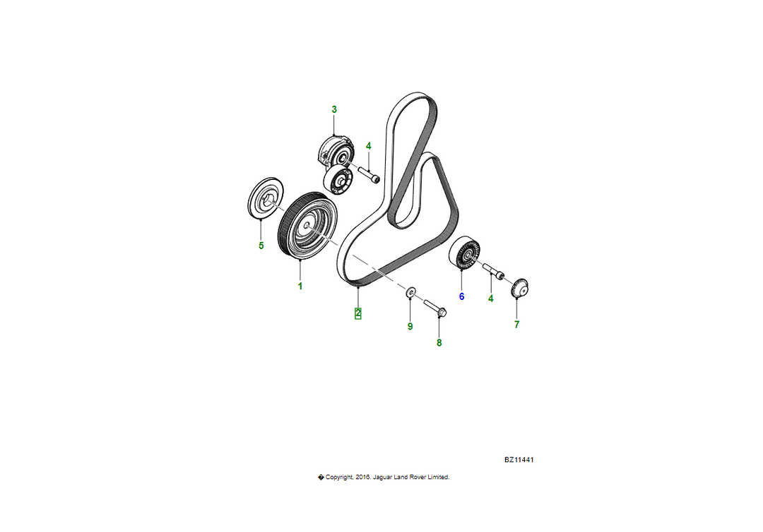 JAGUAR Cinghia di trasmissione motore OEM C2Z13672