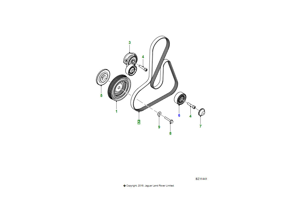Jaguar cinghia di trasmissione motore oem c2z13672