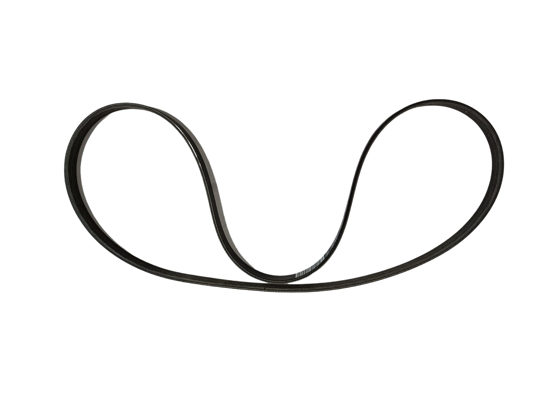 MASERATI CINGHIA TIPO "DAYCO PV-K" A OEM 239616