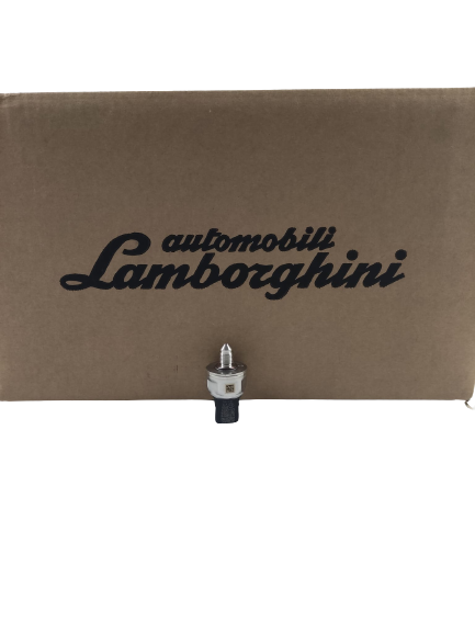 Lamborghini  filter element   06l906054c