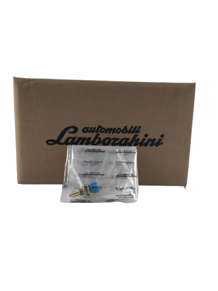 Lamborghini sensor   07l919501a